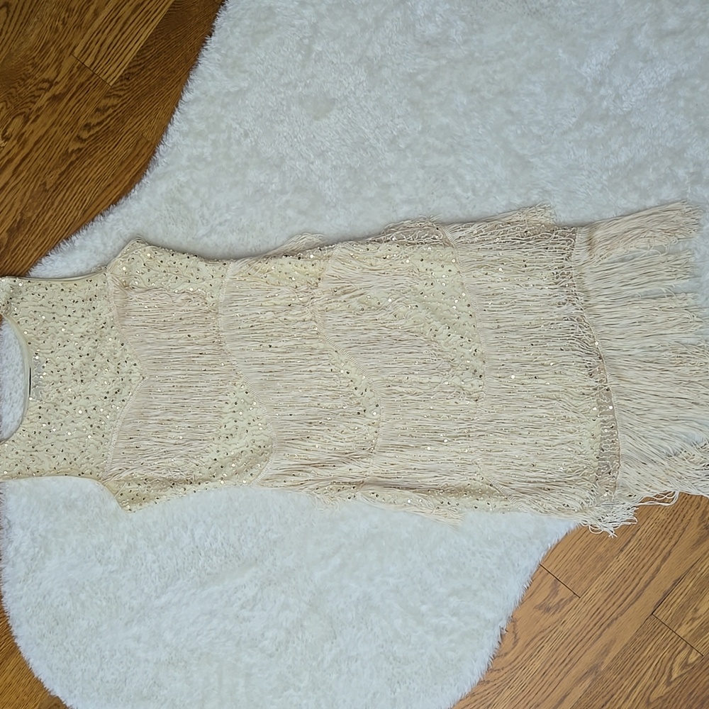 Elegant Cream Fringe Dress - Picture 4 of 12